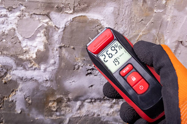 Best Mold Testing  in Aumsville, OR