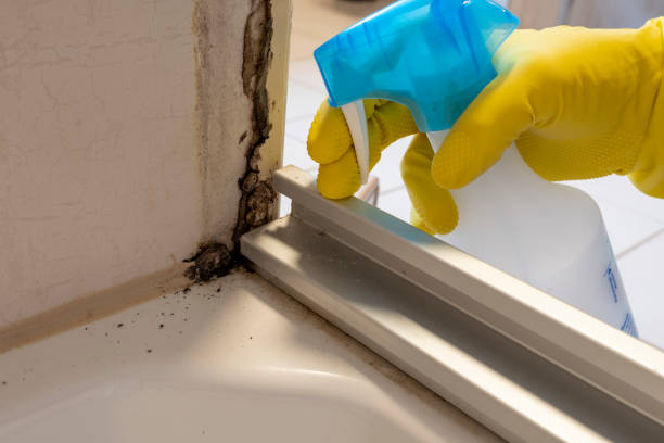 Best Certified Mold Removal  in Aumsville, OR