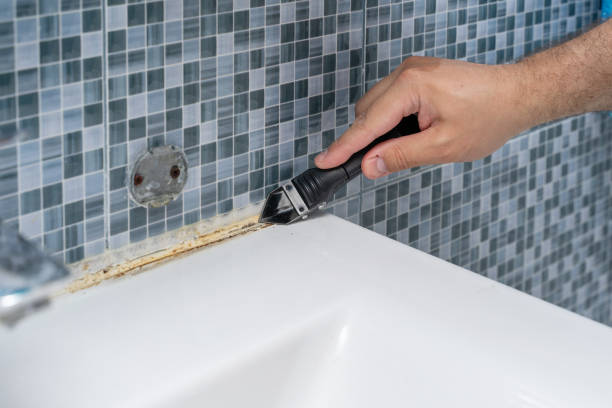 Best Affordable Mold Removal  in Aumsville, OR