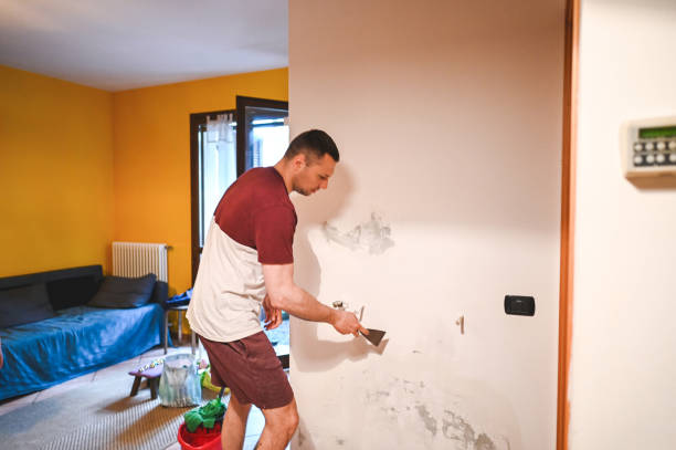 Best Mold Damage Repair  in Aumsville, OR