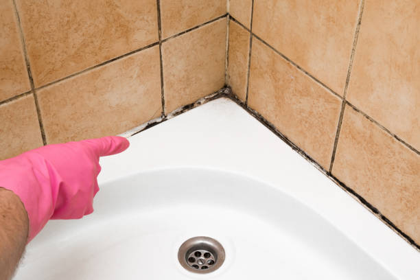 Best Emergency Mold Removal  in Aumsville, OR